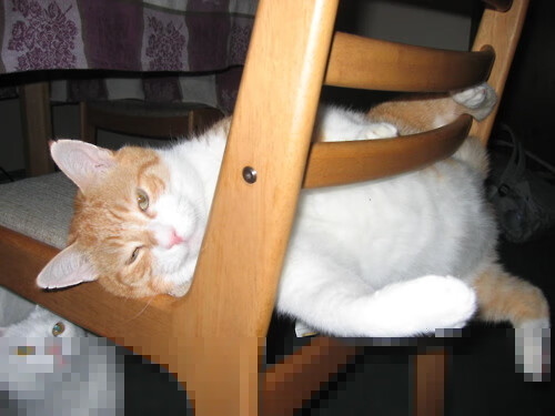 开云体育-当伦纳德时刻降临CBA，浙江对阵山西的生死三分钟，谁主宰了命运的齿轮？