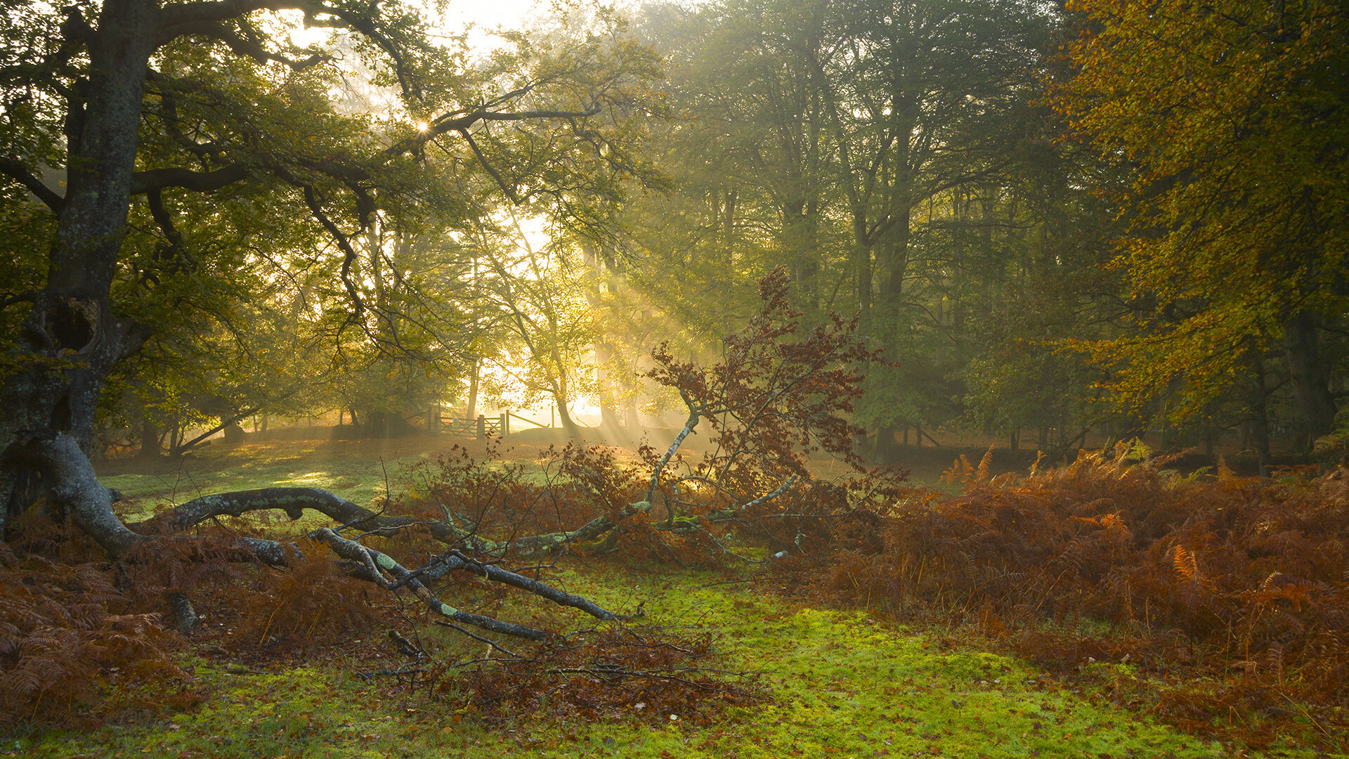 平行胜利,当阿什拉夫的个人丰碑与芬兰的远征交汇,足球如何讲述我们的世界
