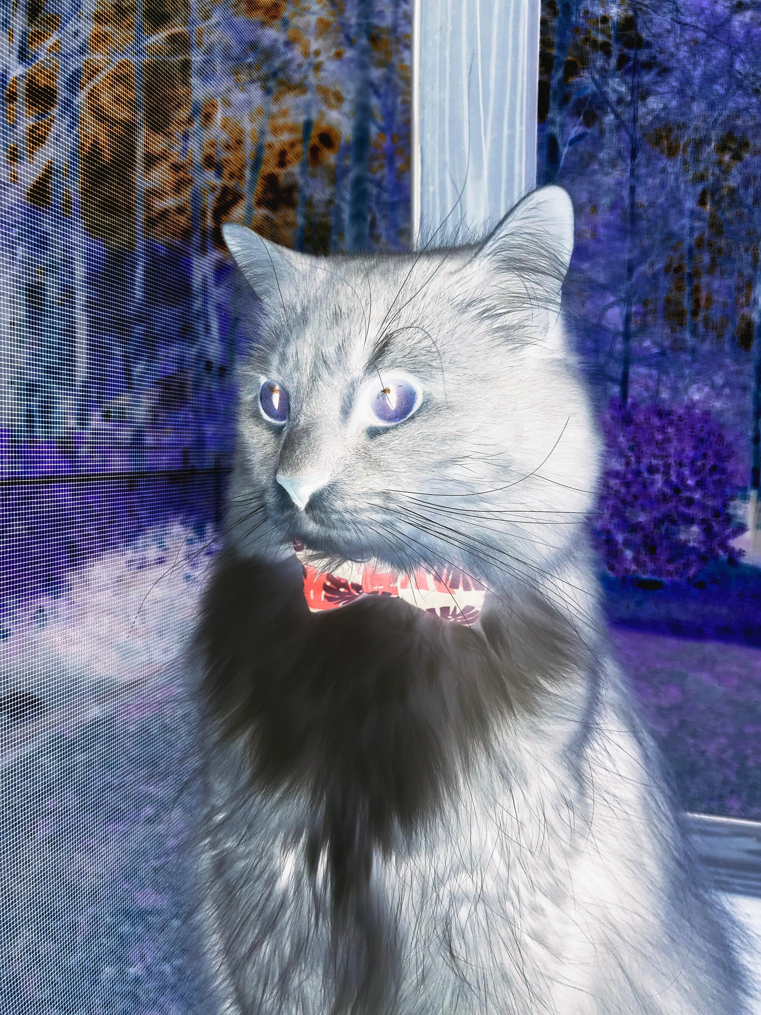 熄火的全明星如何带动全队节奏?凯尔特人险胜步行者的背后真相