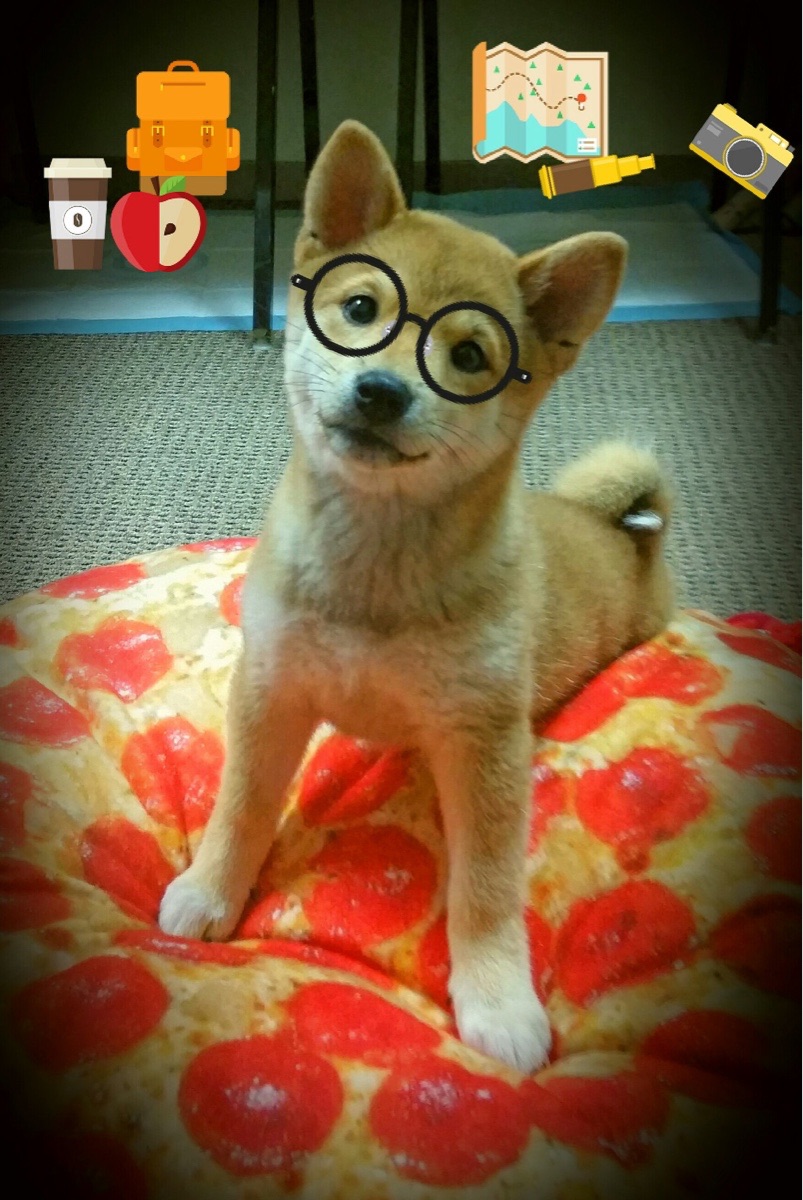 开云体育官网-NBA总决赛之夜，这不是偶然，是扎克·拉文蛰伏多年的必然