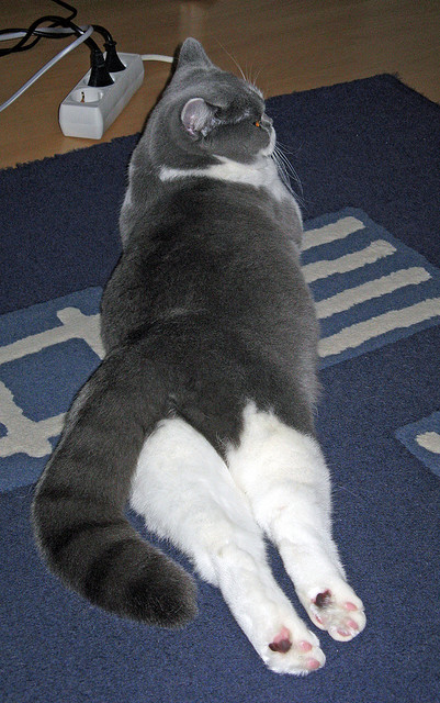 伯纳乌的钢铁与非洲鼓点，当毕尔巴鄂在最后一刻翻盘安哥拉，穆勒成为寂静中的关键先生