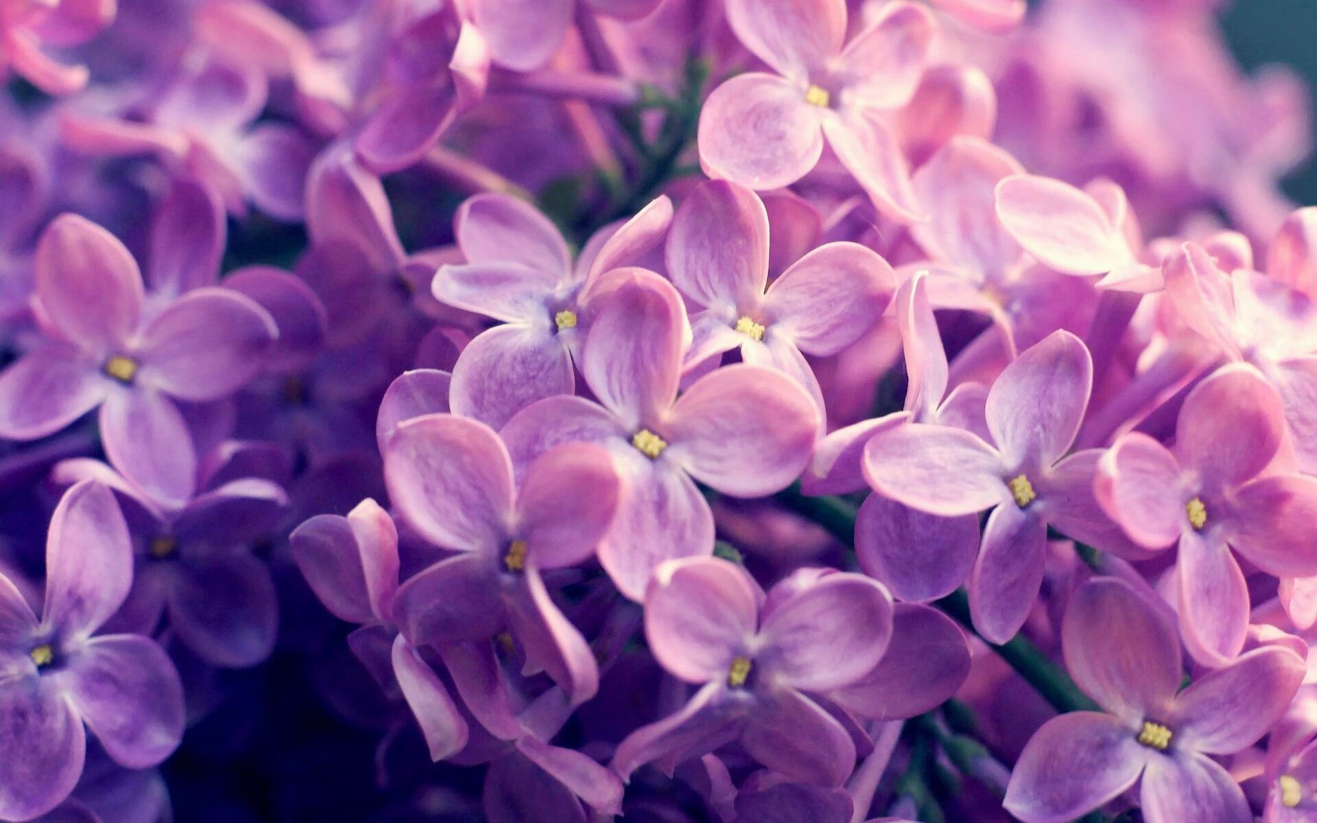 银河战舰压哨击碎桑巴灵魂,一场融合两大足球文明的史诗对决