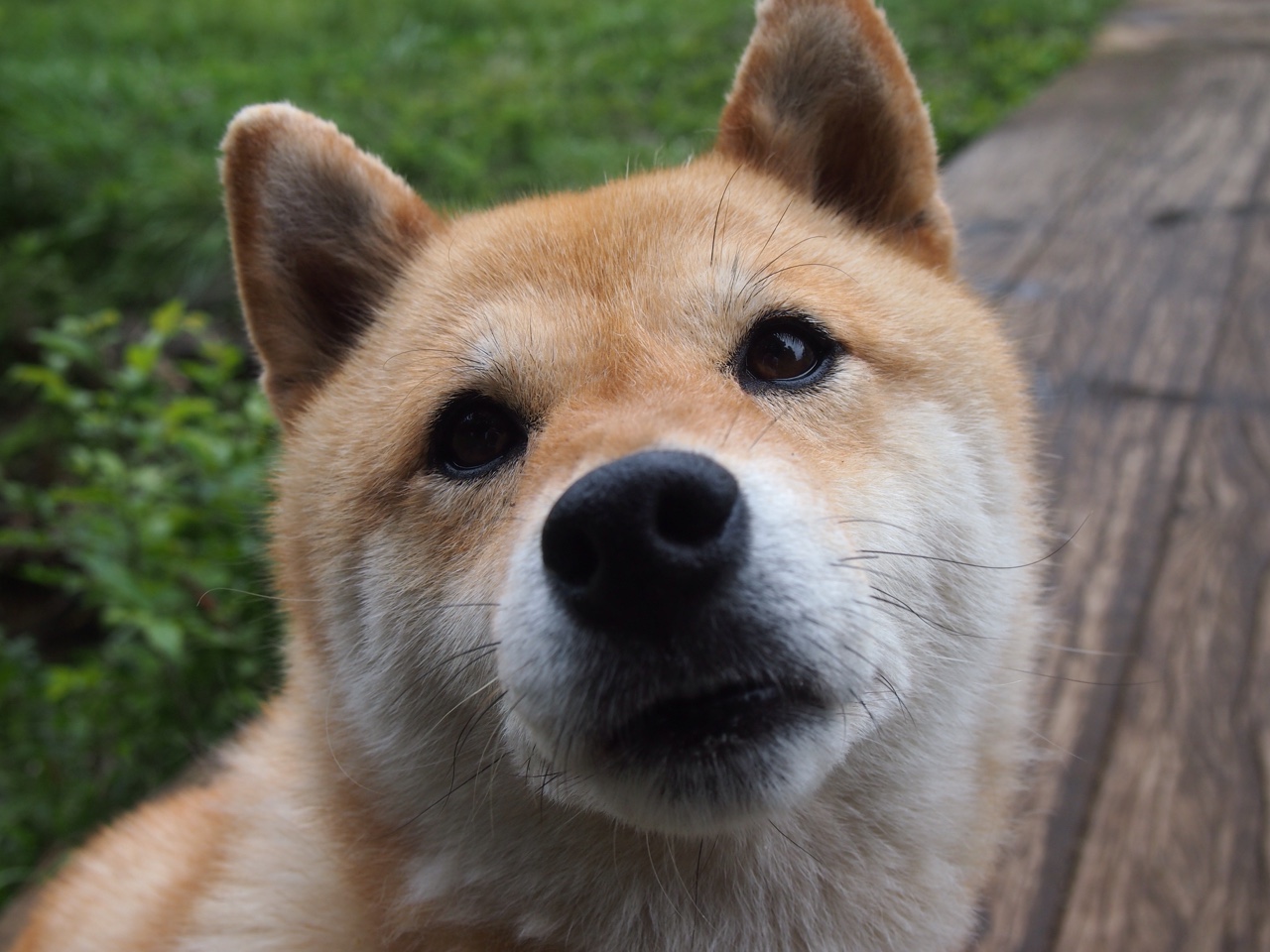 开云体育平台APP-掌控力，当足球的坚韧遇见赛道的精确