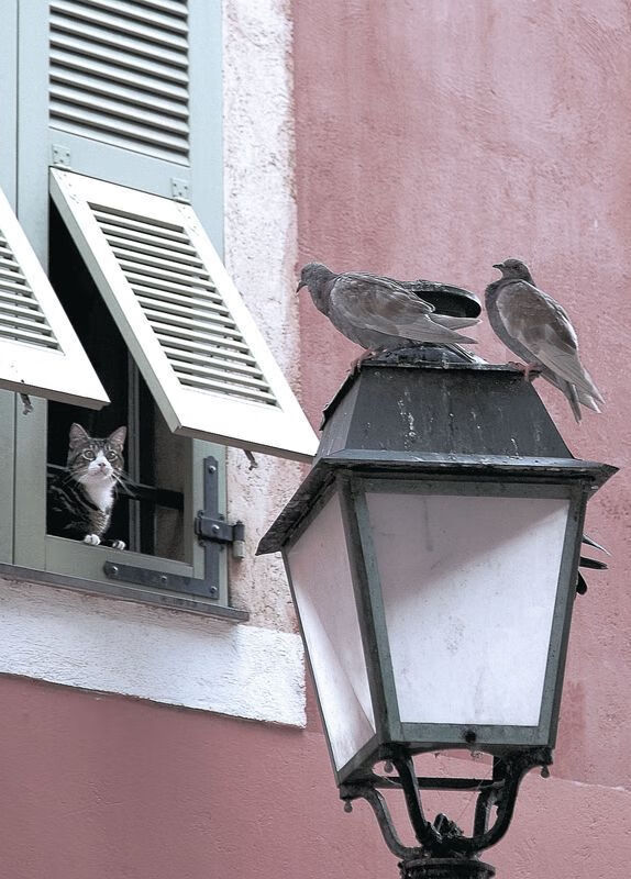 开云体育入口-决胜时刻，当欧冠淘汰赛的紧张遇上掘金碾压广厦的统治力