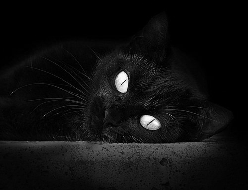 直布罗陀-达喀尔轴心，德布劳内的枢纽足球与乌拉圭式决胜