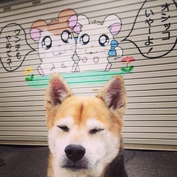 跨时空连线，当杜兰特末节觉醒，辽宁用窒息防守带走胜利