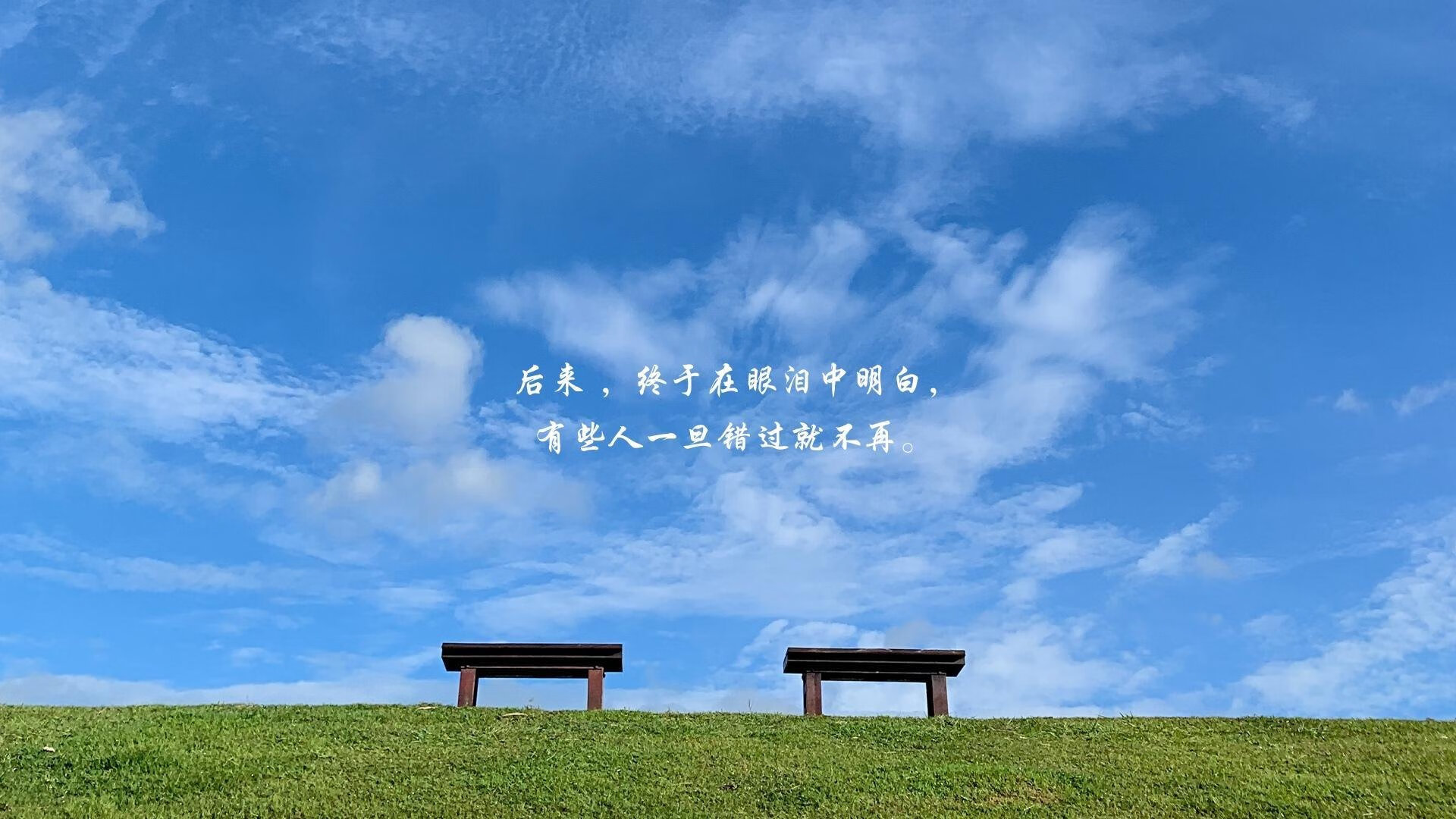 胜利的共鸣，浙江队夺冠战告捷，武切维奇引领世界排名争夺战