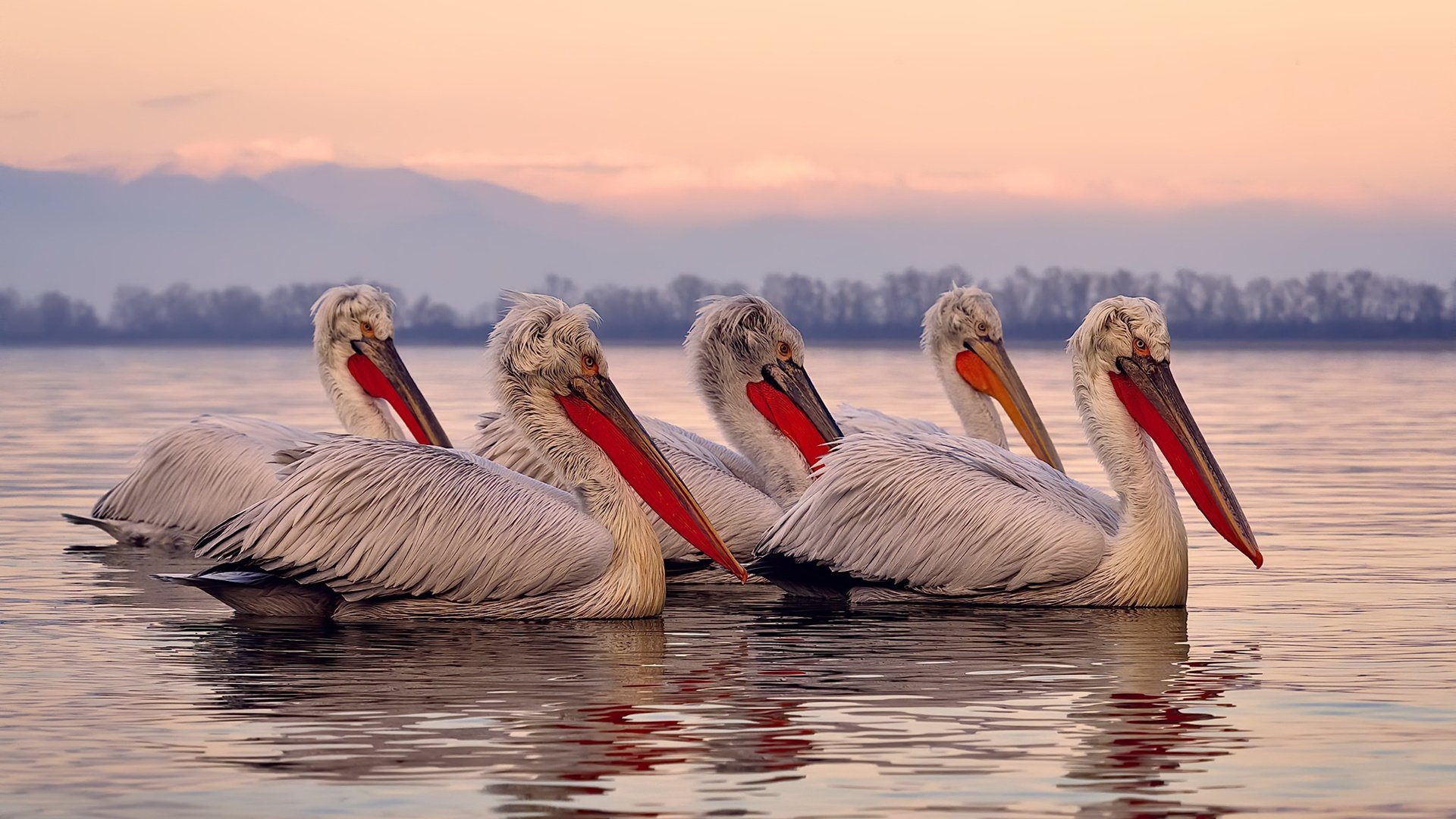极限冲刺，从F1争冠弯道到热火单节狂飙—论顶级竞技的决定性瞬间