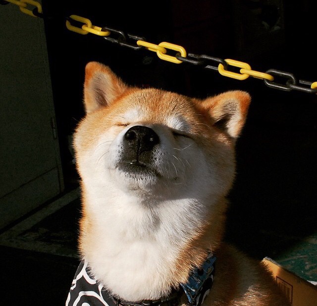 开云体育入口-从巴格达到都灵，伊拉克足球的欧洲化征程与拉什福德的制胜启示