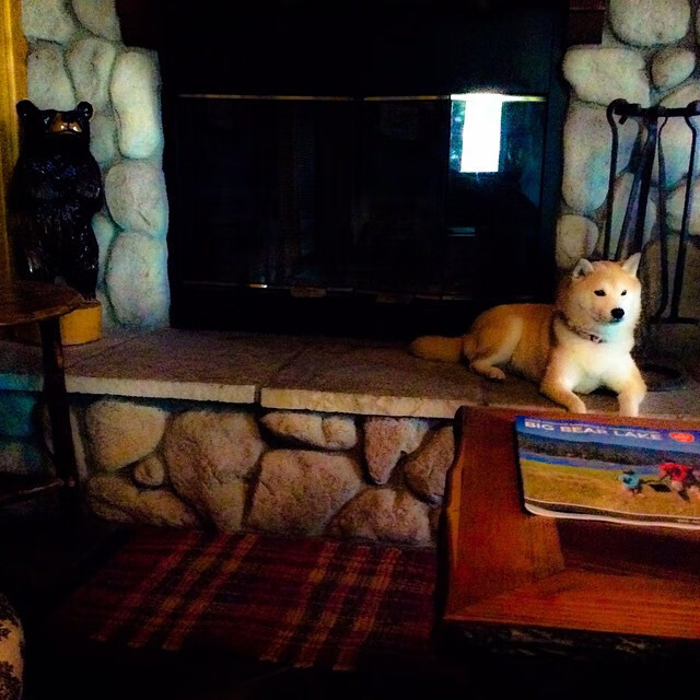 开云体育2026-国王终遭奇才逆转，杜兰特死神时刻击碎历史魔咒