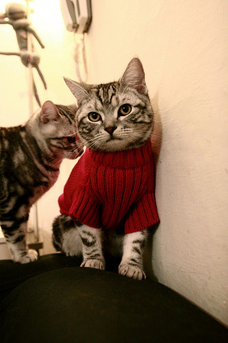 钢铁托尼一锤定音，那不勒斯攻坚克难擒红牛