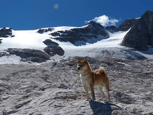 开云体育平台APP-两种胜利，一种启示，当奥斯梅恩与伊朗共同诠释足球的平等精神