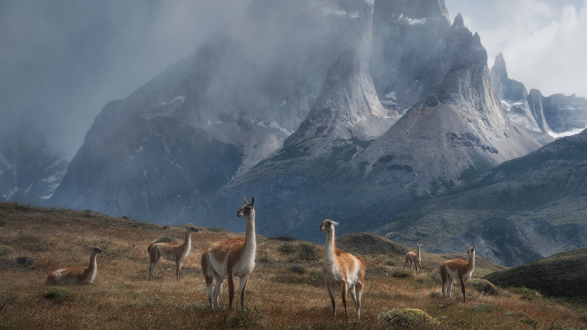 亚洲之光冲破质疑，红狼军团征服蓝桥—久保建英与罗马的双重证明
