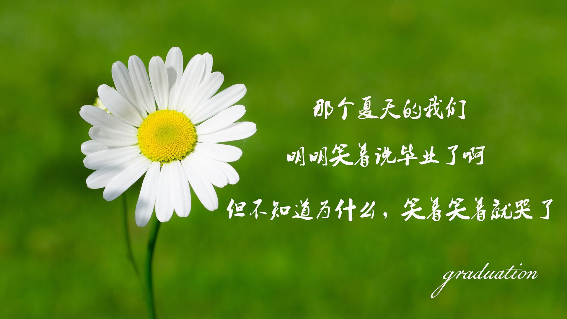 当利拉德钟表转动于圣西罗草坪—记一场被节奏完全掌控的意甲焦点夜