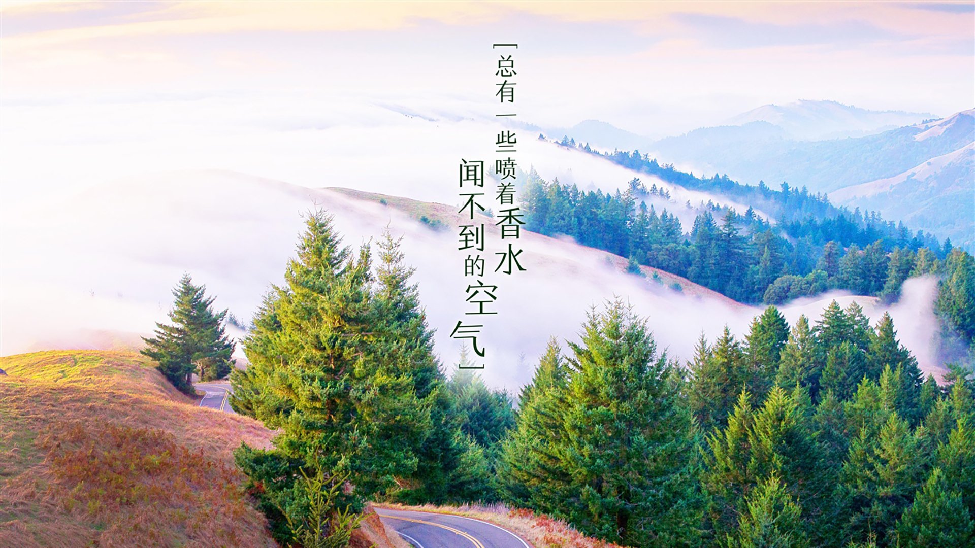 开云体育APP下载-北欧海盗新船长，B费，一个葡萄牙灵魂在挪威的胜利预言