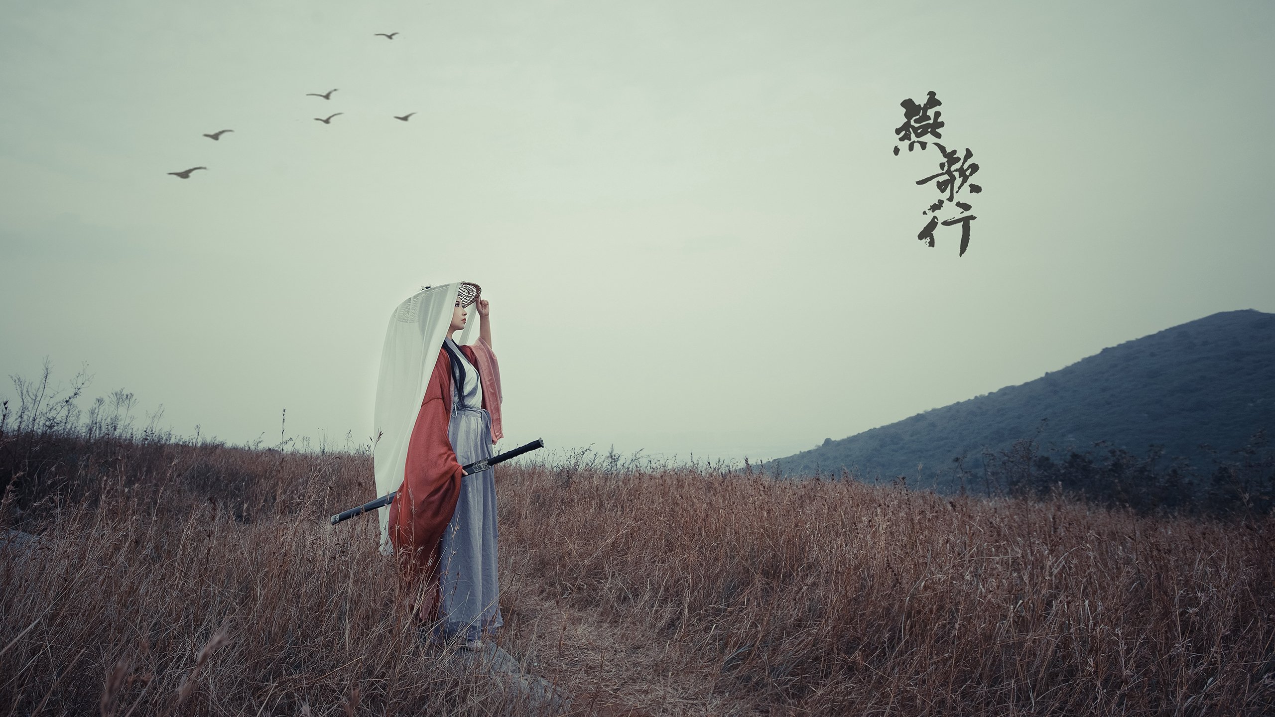 开云体育平台APP-北欧德比的仲裁者，哈兰德如何让瑞典与丹麦的恩怨在2026世界杯B组画上句点