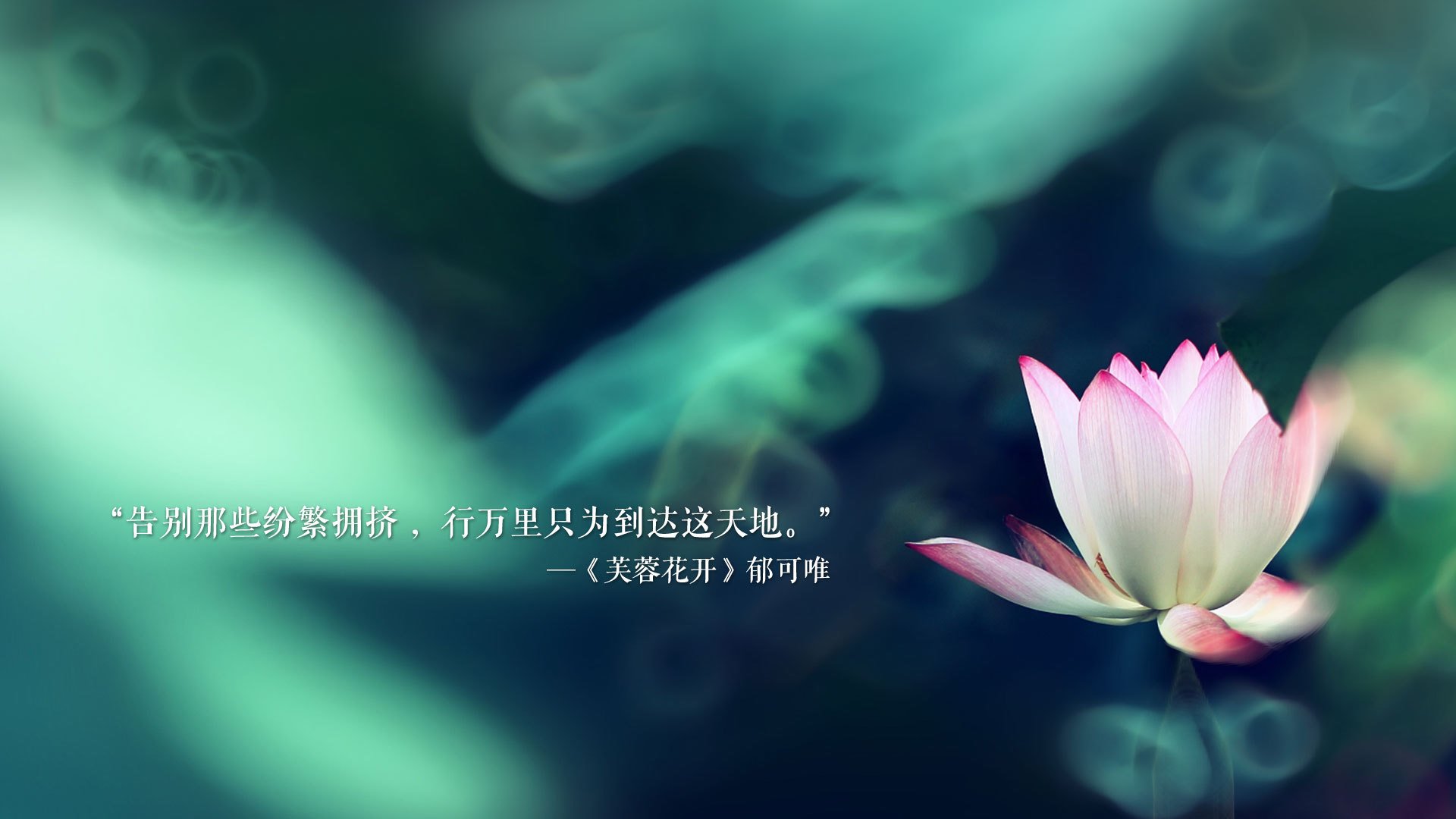 血洗绿茵,东欧铁骑碾碎两河文明,莱万神锋加冕却目送替补奇兵改写E组命运