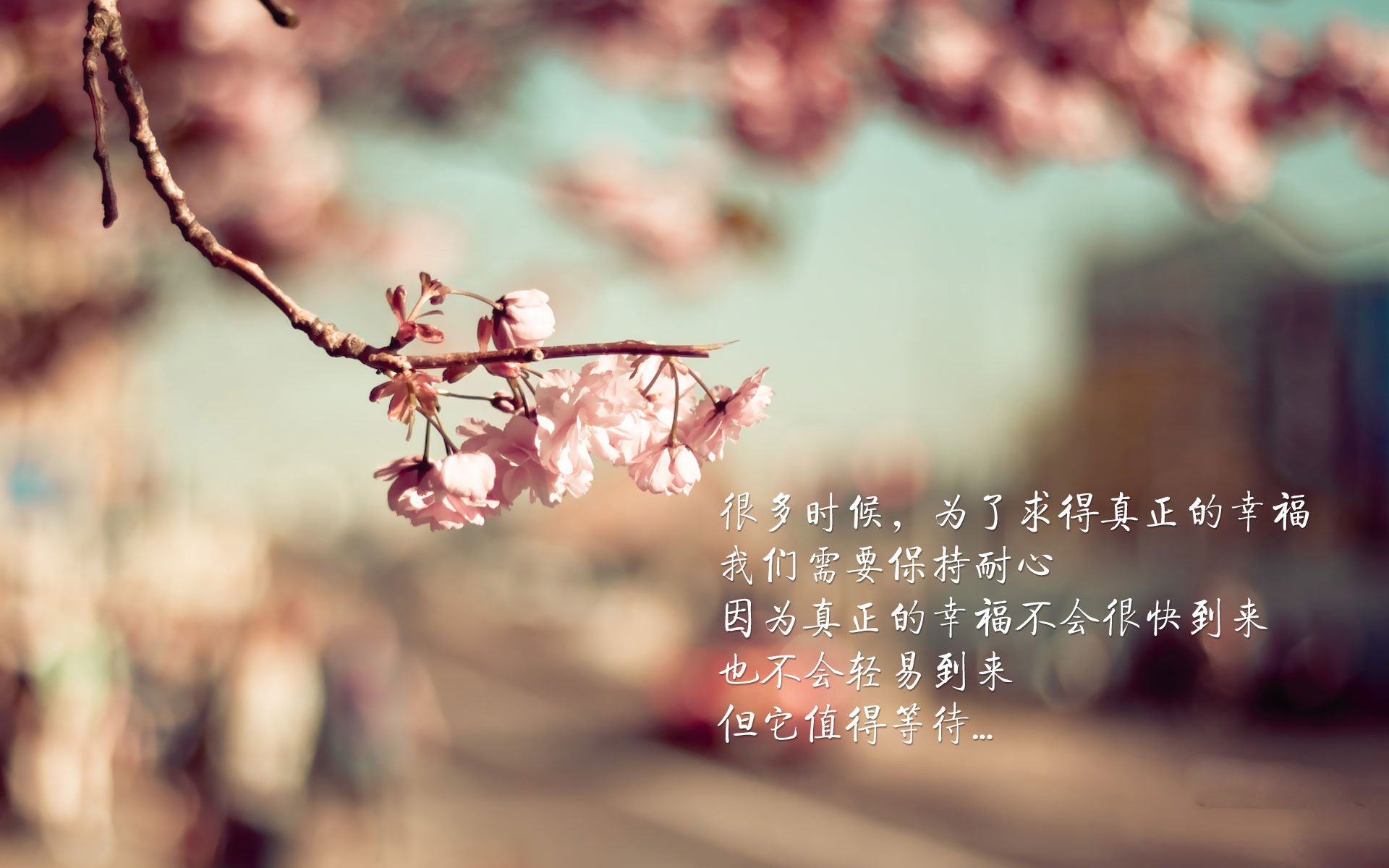 开云体育登录-冰与沙的啸歌，阿方索·戴维斯的三秒，如何谱写了2026世界杯唯一的沙漠神话