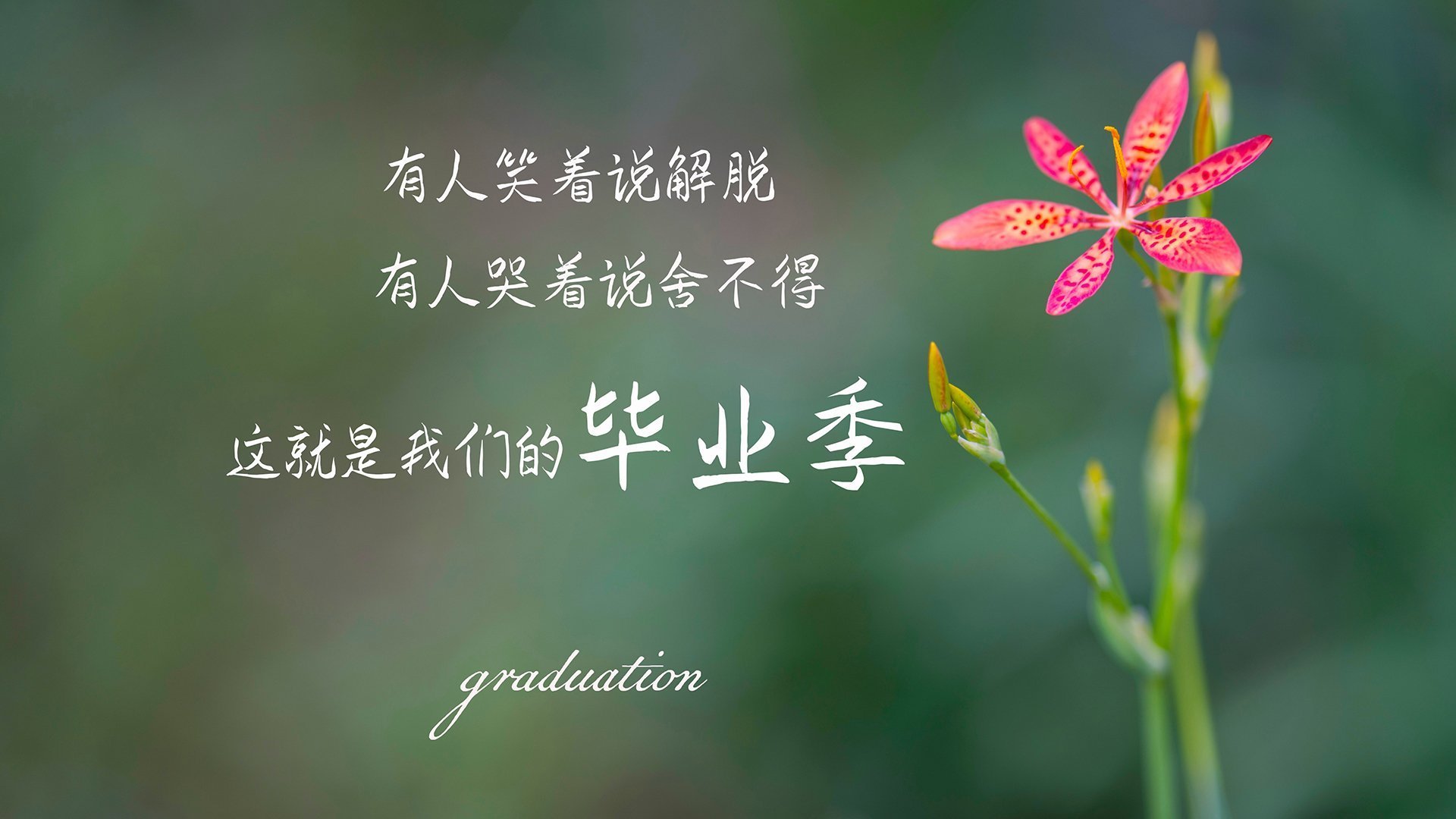 斗牛士风暴席卷东南亚，西班牙三叉戟击穿铁桶阵，努涅斯神兵天降独造三球闪耀2026世界杯D组